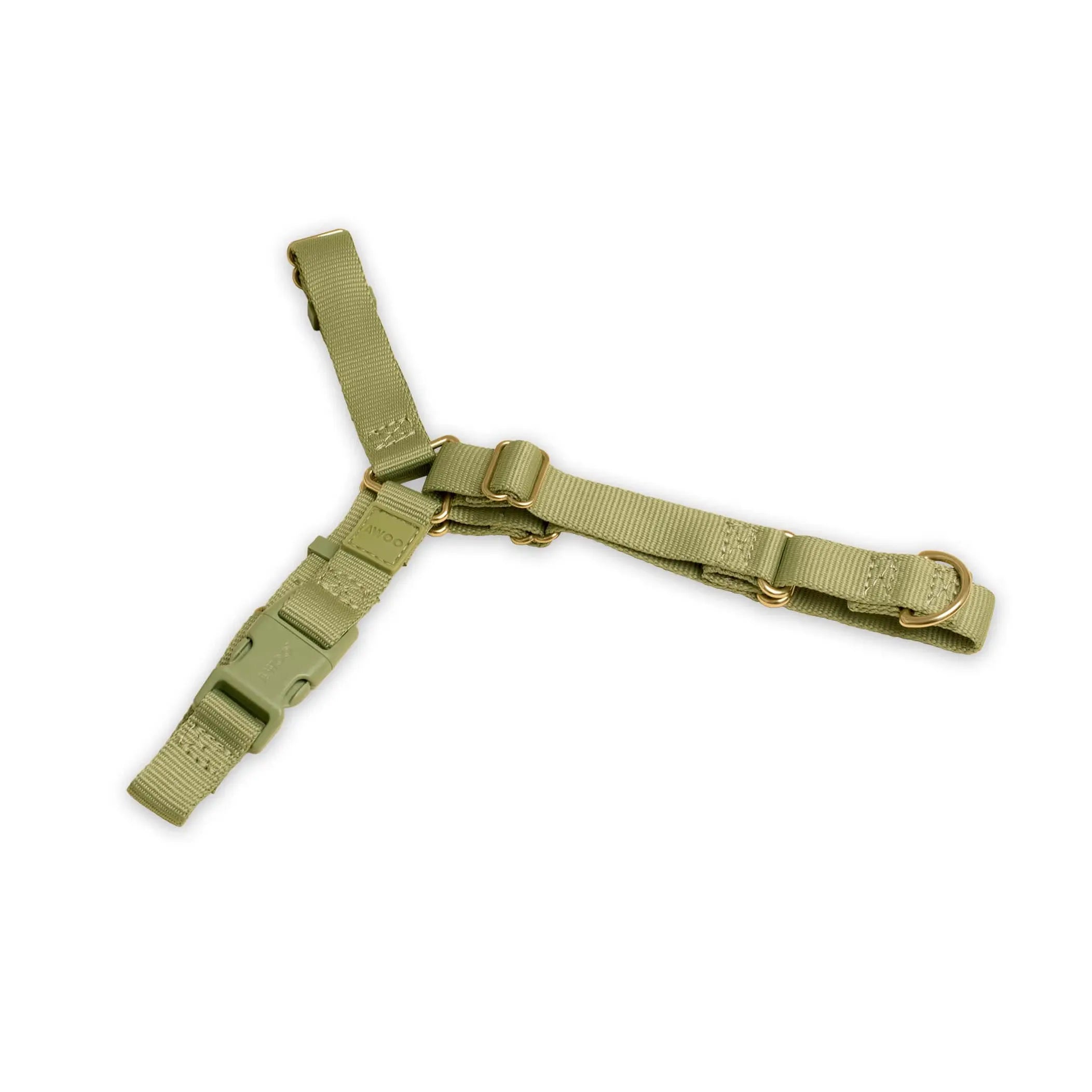 Roam Harness