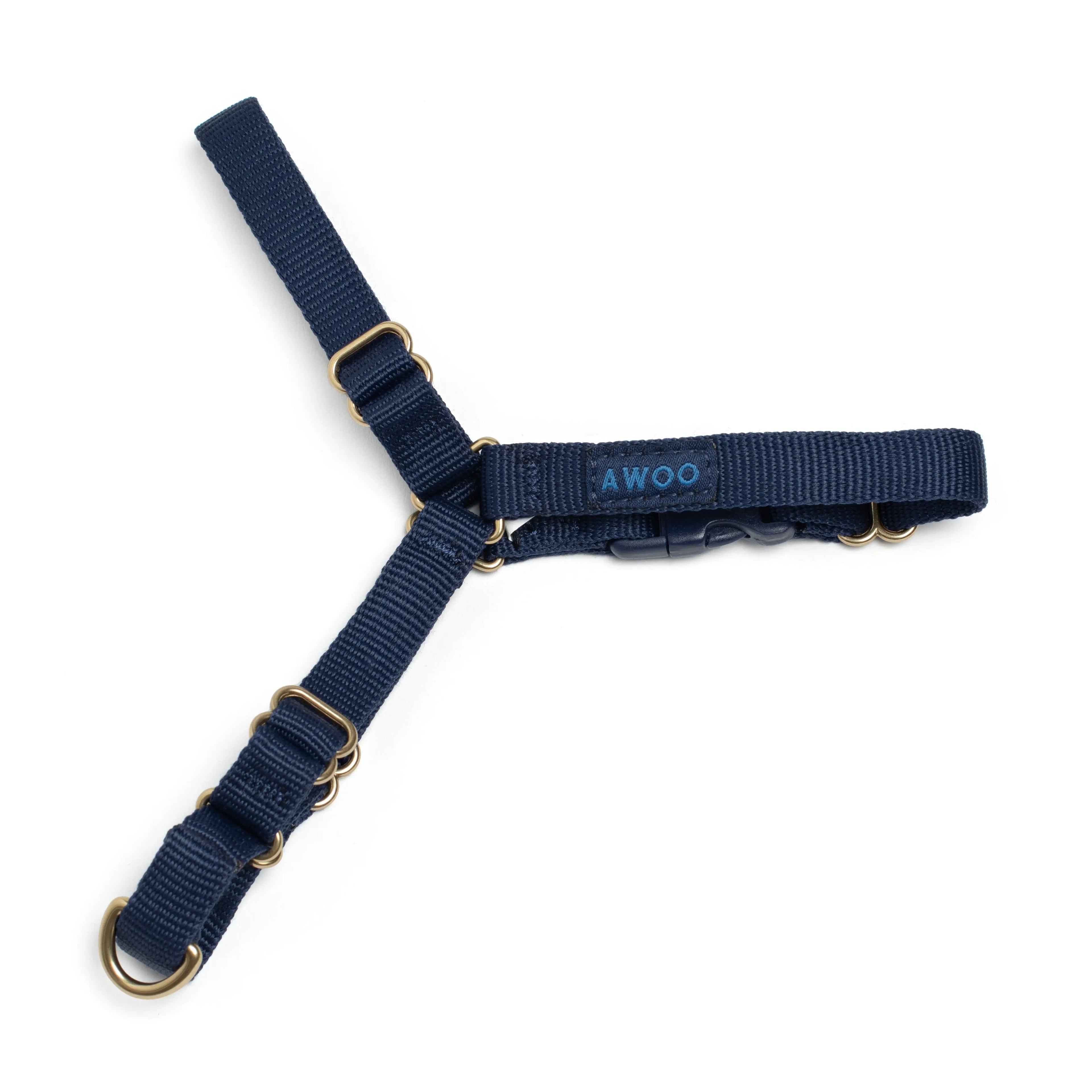 Roam Harness