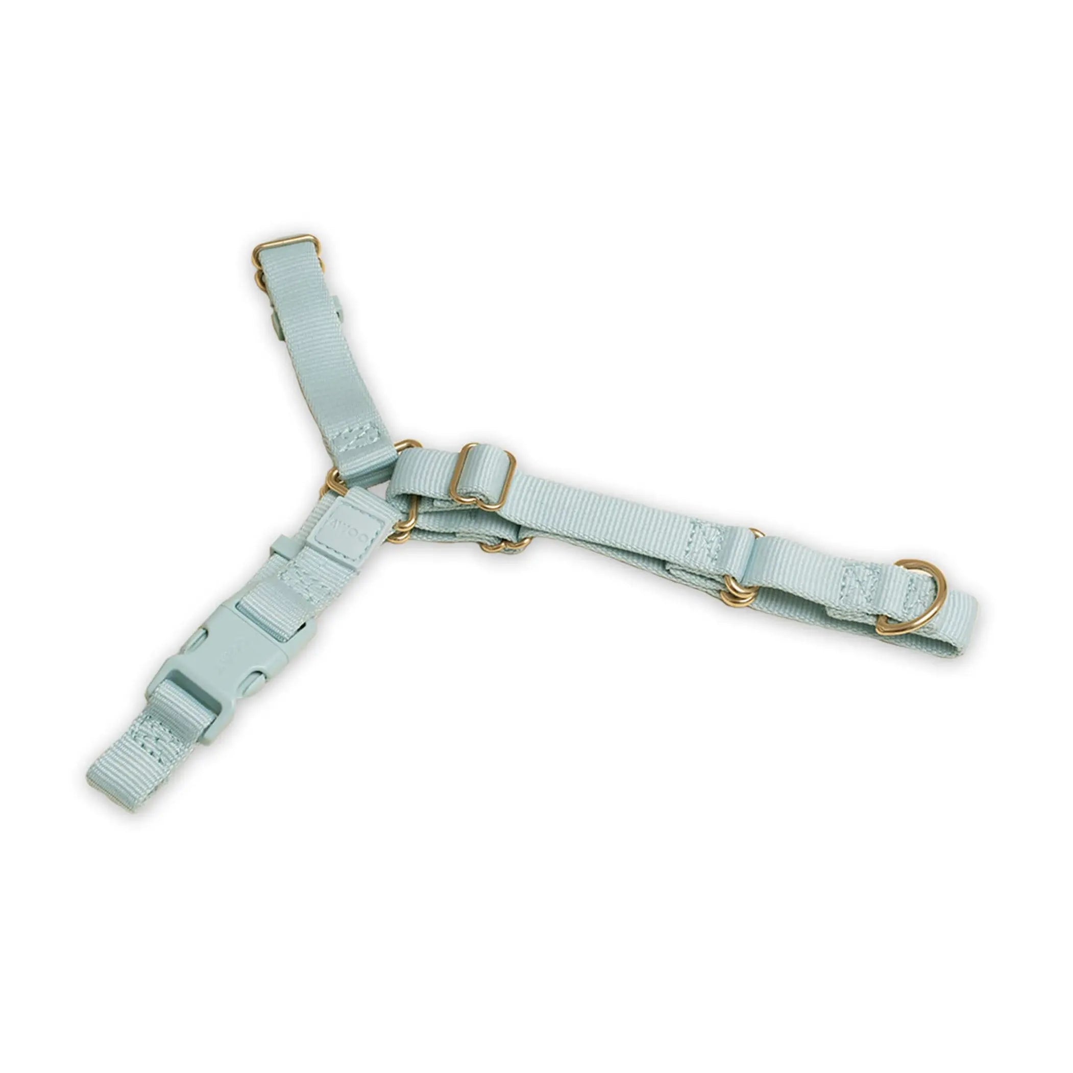 Roam Harness