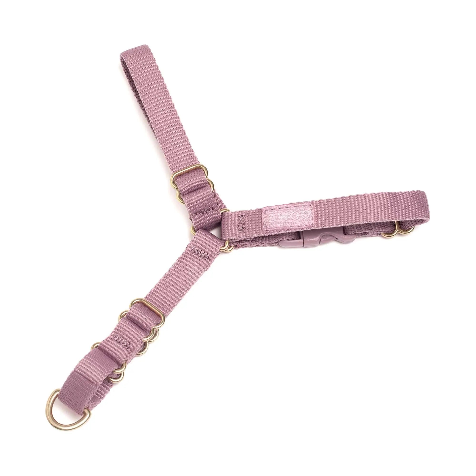 Roam Harness