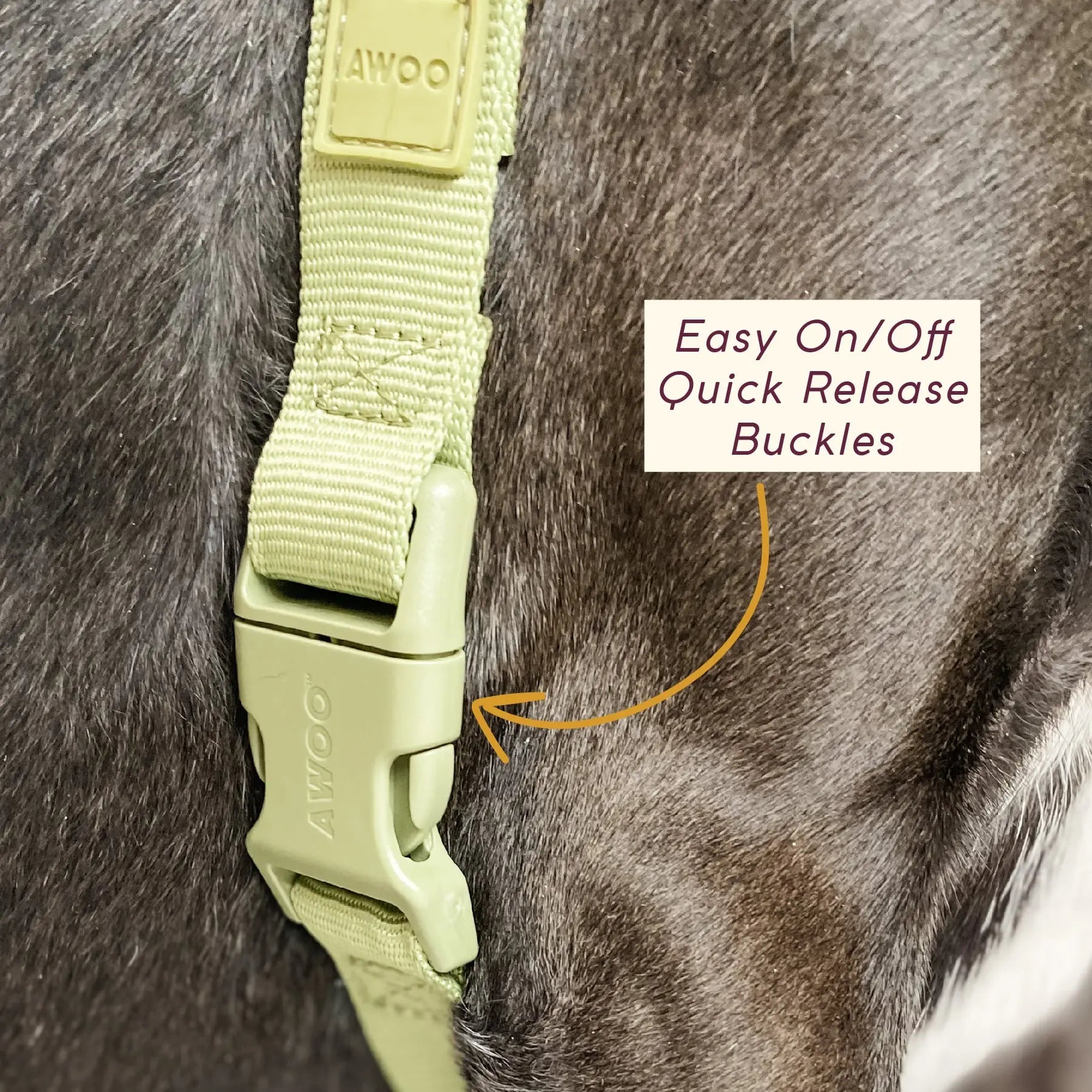Roam Harness