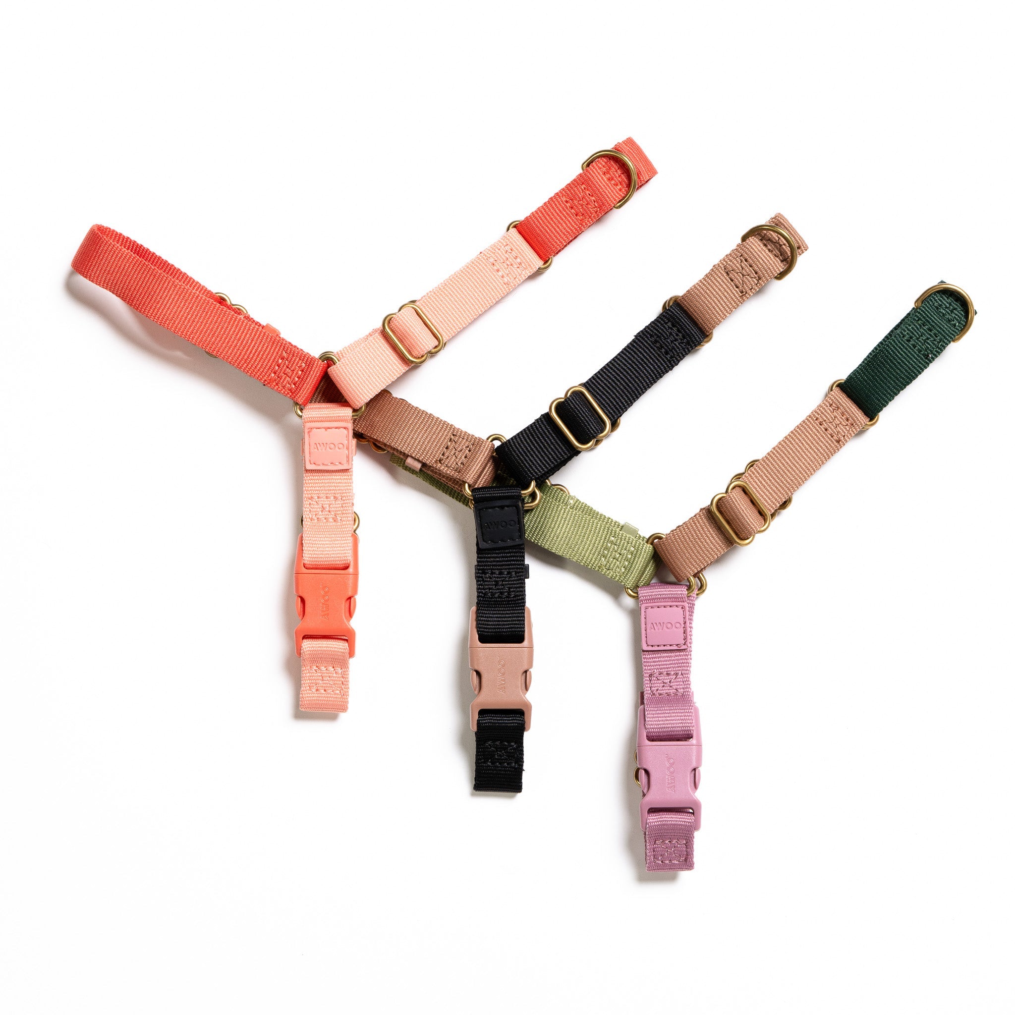 Roam Harness